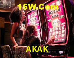 Bonus Features AKAK